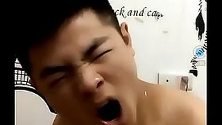 Gay TV 37